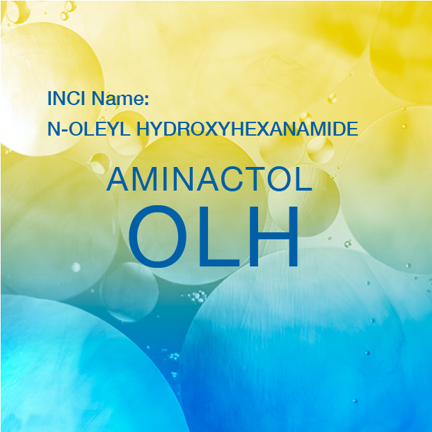 N-OLEYL HYDROXYHEXANAMIDE | AMINACTOL OLH